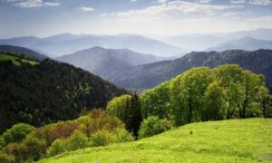 Национальный парк Боржоми-Харагаули